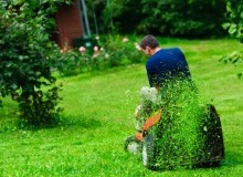 Kwikfynd Lawn Mowing
theresacreeknsw