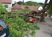Kwikfynd Tree Cutting Services
theresacreeknsw